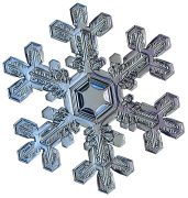 snowflake 37 lis